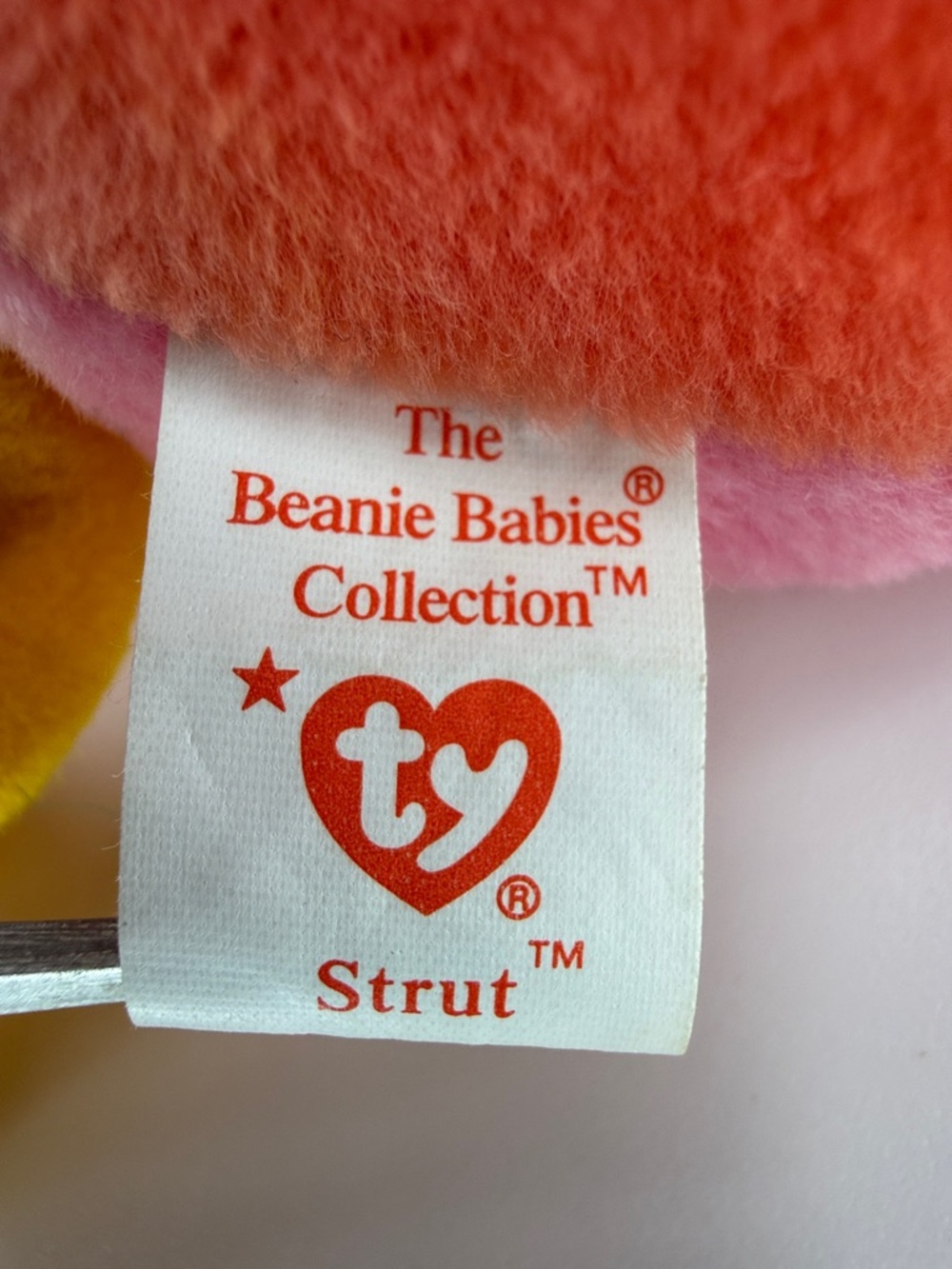 ❤️DOODLE & STRUT❤️ - Picture 13 of 13